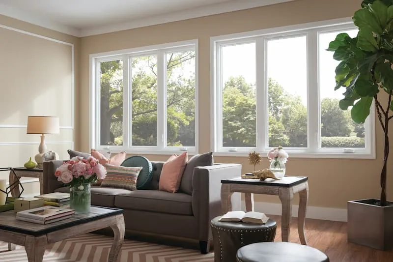 Living room with two large new windows