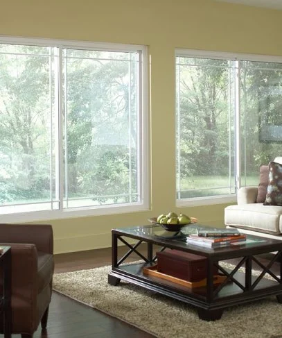 Living room with two wide sliding windows looking out on trees