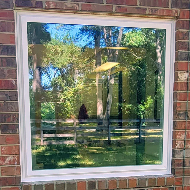 Picture Window
